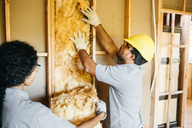 Best Local Insulation Services  in Nanuet, NY