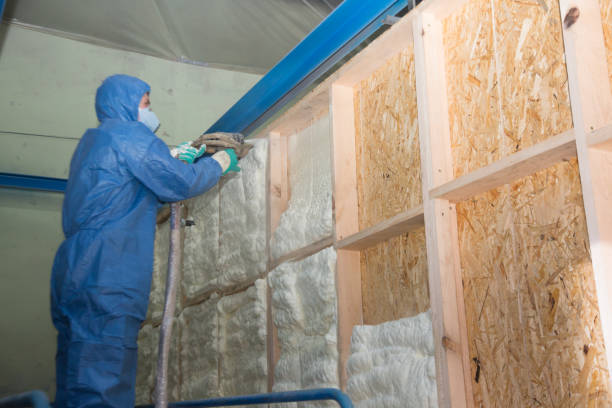 Best Blown-in Insulation  in Nanuet, NY