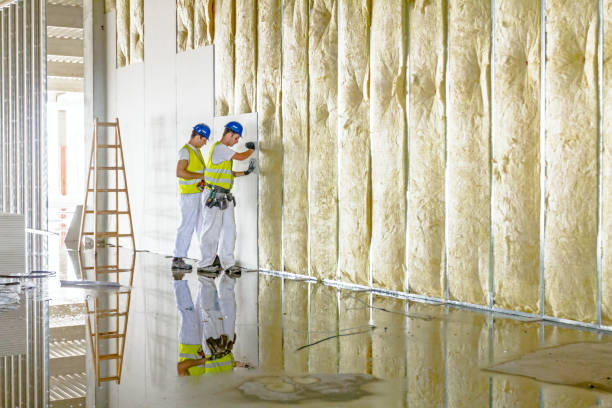 Best Best Insulation Companies  in Nanuet, NY